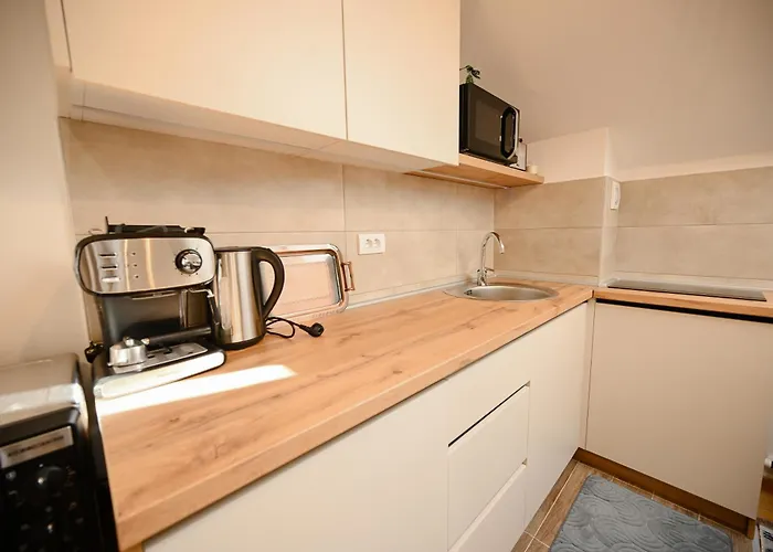 Apartamento Erna Zlatibor